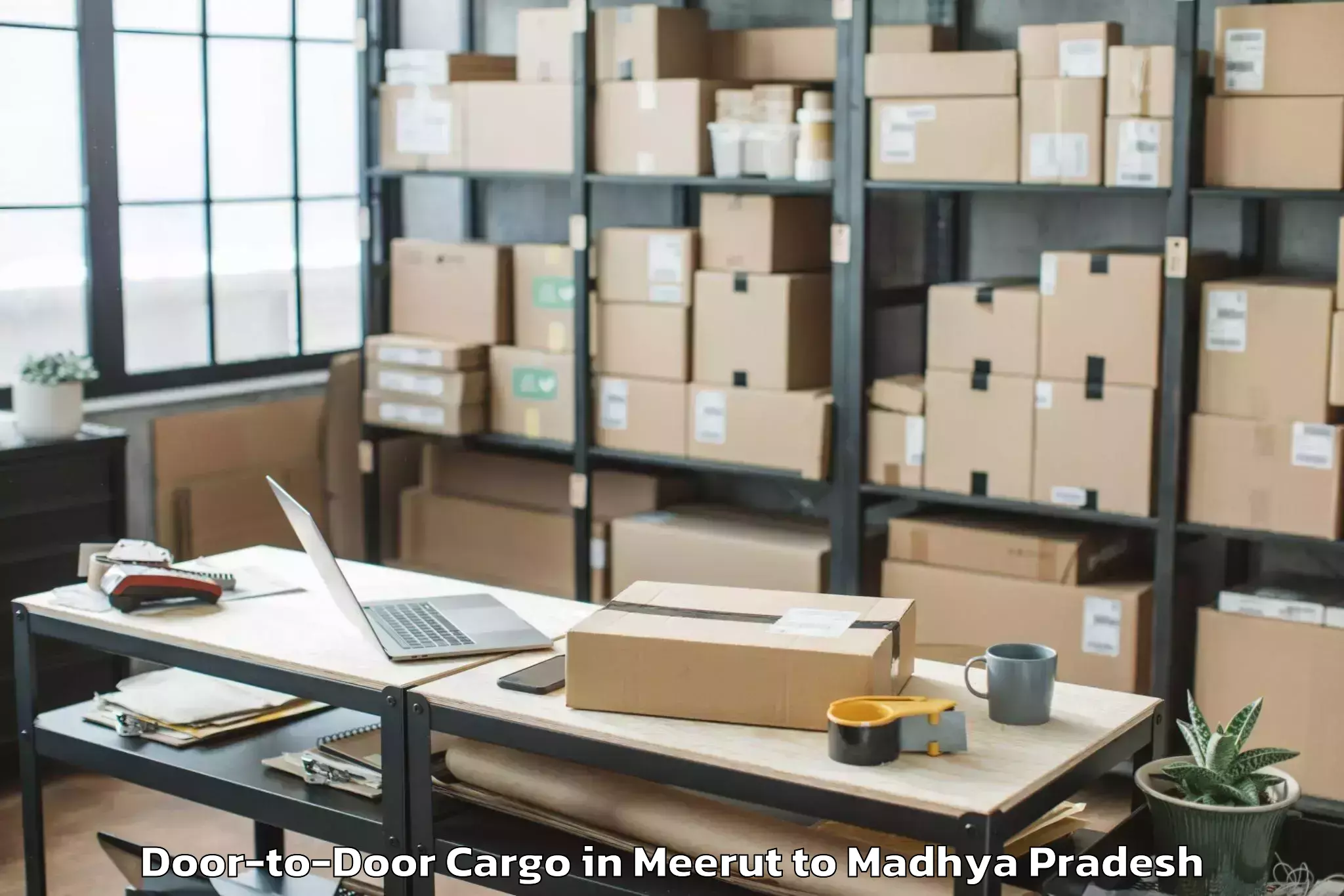 Top Meerut to Barnagar Door To Door Cargo Available